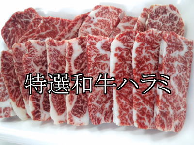 �a���n���~