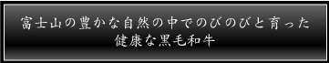 健康、安全な黒毛和牛