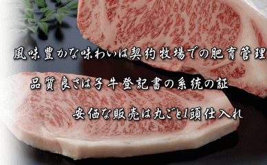 和牛サーロインステーキ肉